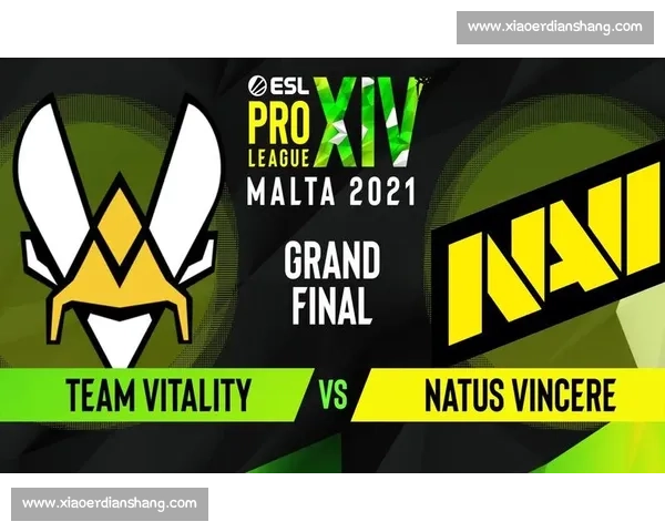 CSGO比赛下载链接的使用方法及注意事项解析